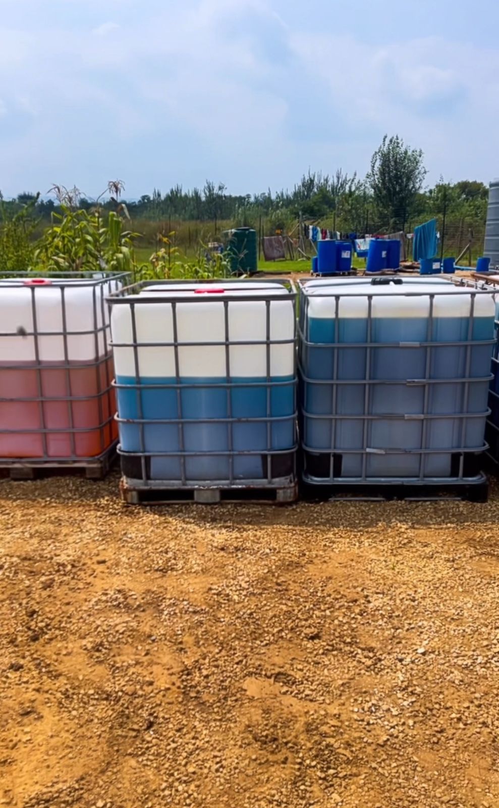 WhatsApp Image 2025-03-26 at 10.50.13_23481461 WhatsApp Image 2025-03-26 at 10.50.13_23481461